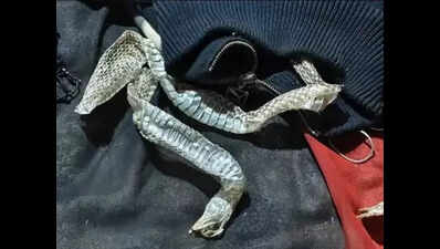 Elopement drama gets a ‘naagin’ climax