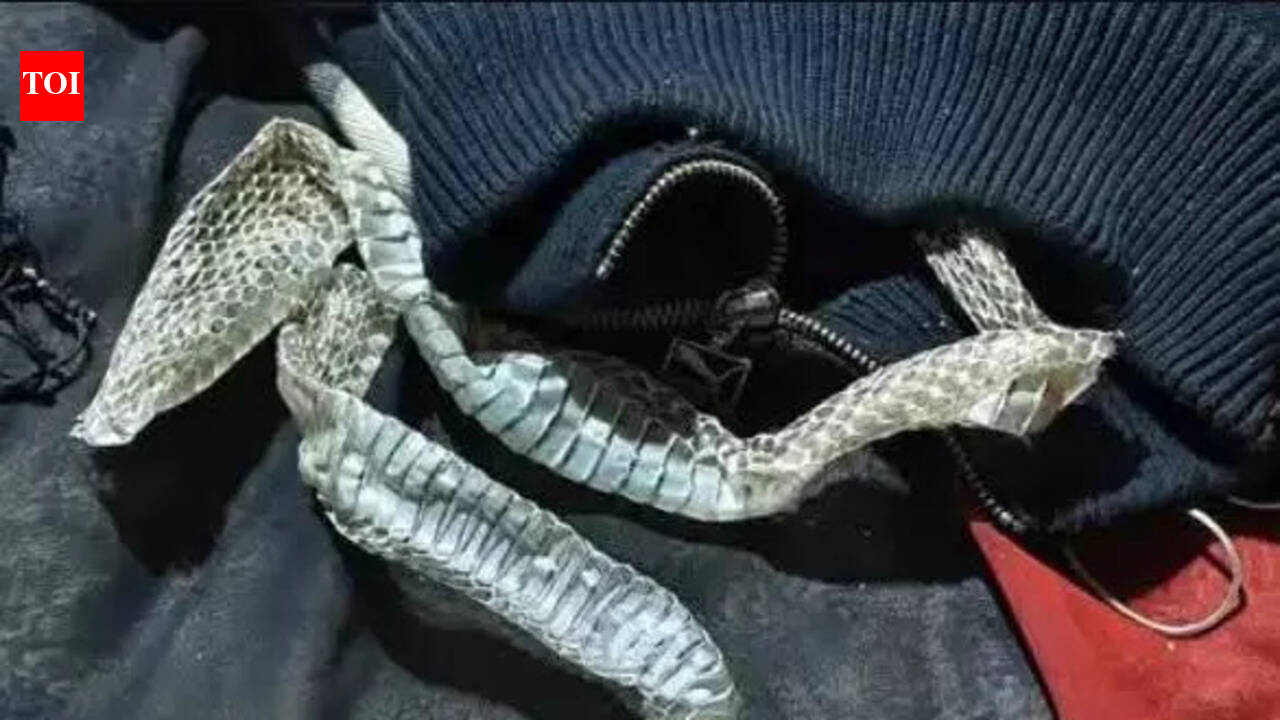 Elopement drama gets a ‘naagin’ climax