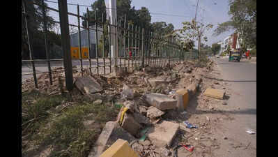 Gurgaon plans green cover on 37km roads, pathways this year, work to begin soon