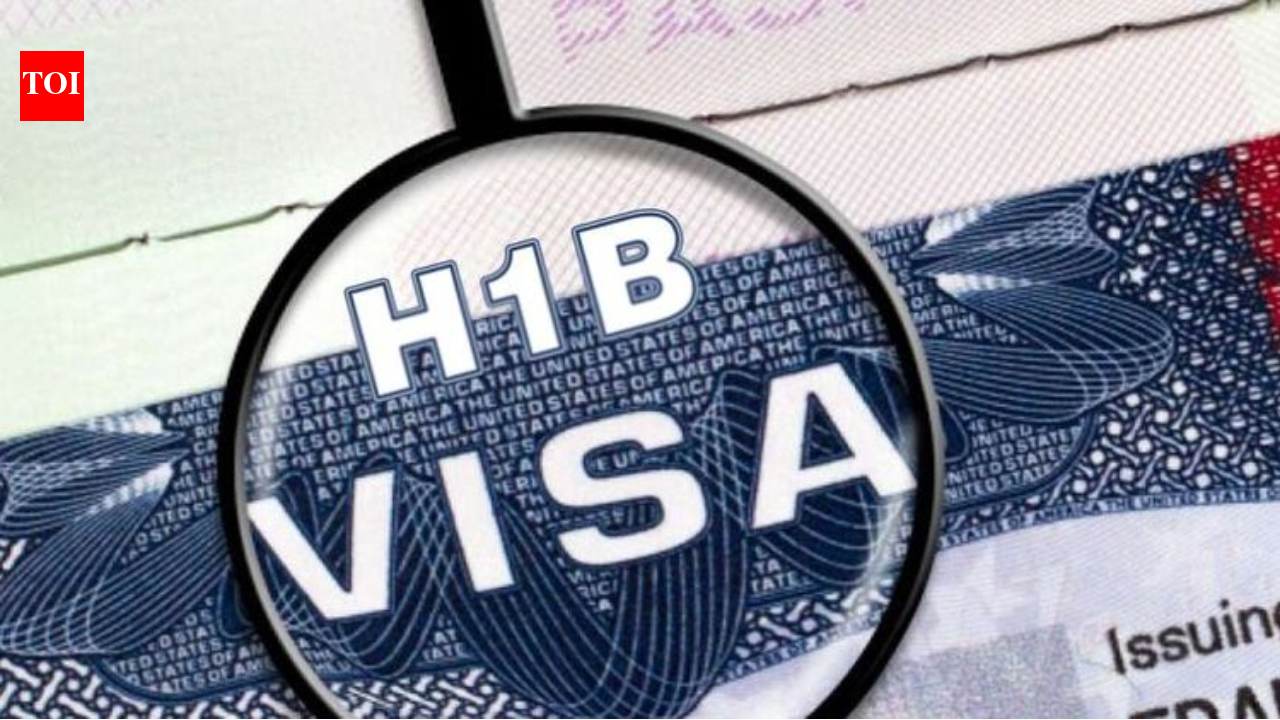 US lawmaker introduces bill to eliminate H-1B visa programme by 2027 — What is the EXILE Act?