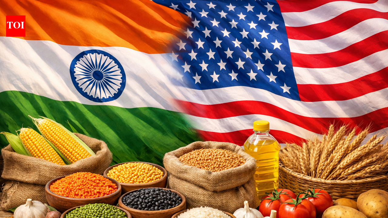 Pulses dropped, $500bn purchase clause revised: Whatâs new in updated India-US trade deal factsheet - The Times of India