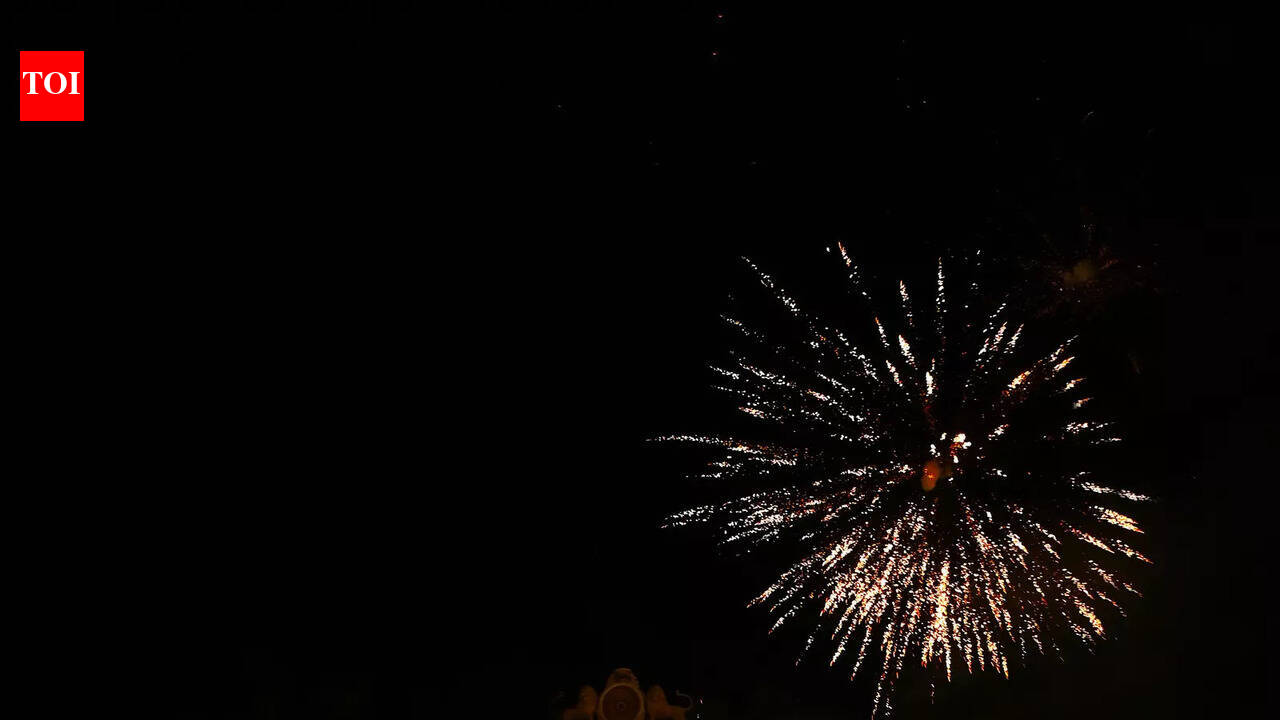 Murshidabad Heritage Festival: A city proudly reclaims its past