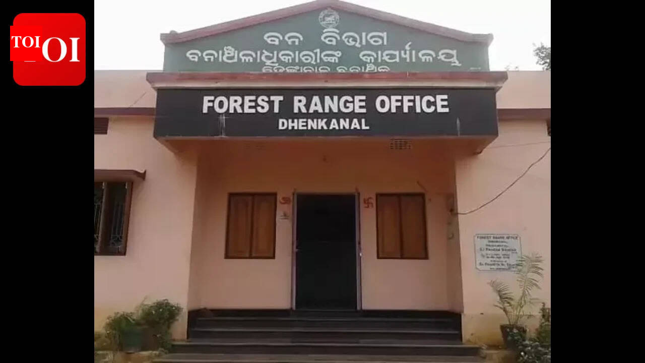 Inquiry launched after three women die in Dhenkanal elephant attack