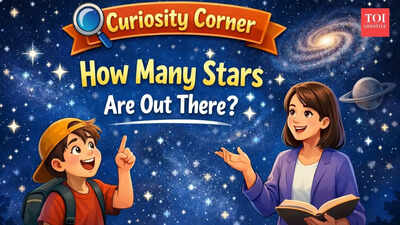Curiosity Corner: How many stars are there in the universe?