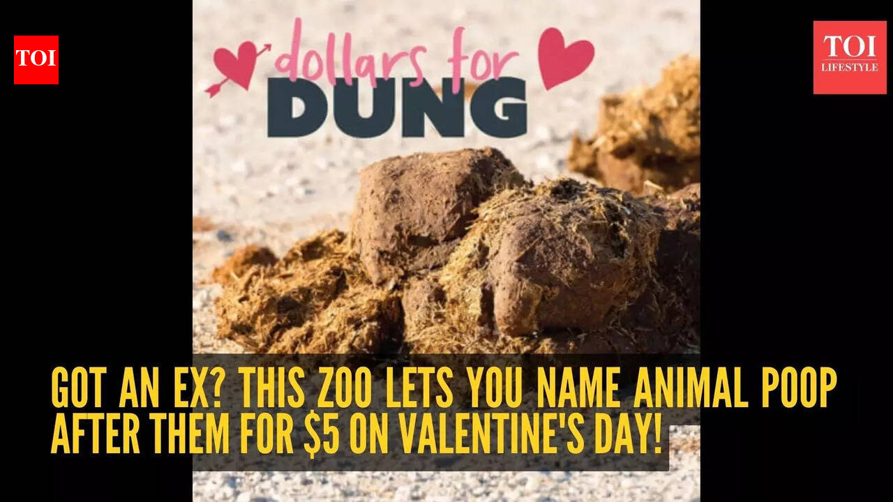 Got an ex? This zoo lets you name animal poop after them for $5 on Valentine's Day!