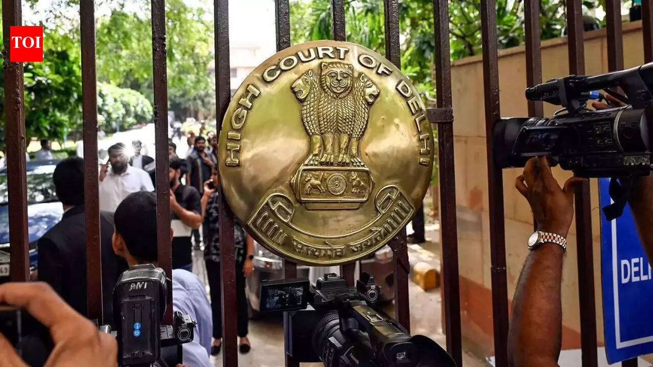 Delhi HC grants bail in MCOCA case over 24-hour production violation