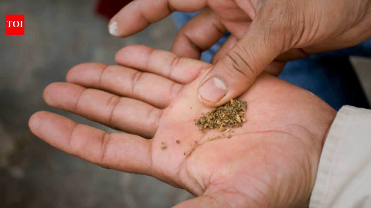 260 million Indians consume tobacco, 14–16% drink alcohol: The preventable crisis behind over 1.3 million deaths in the country