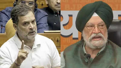 'Met Epstein 3-4 times': Harpdeep Puri sets record straight after Rahul Gandhi's charge in Lok Sabha