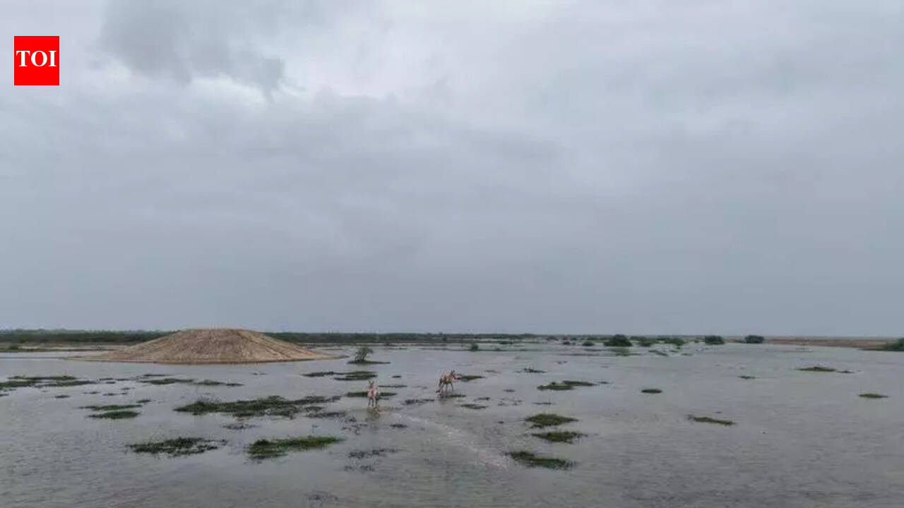 New bunds to reshape ecology of Little Rann