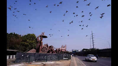 Gurgaon’s minimum temperature goes up by 2.2°C, yellow alert issued for thunderstorm on Feb 16-17