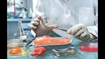 One in 6 food poisoning deaths linked to T, report rings alarm