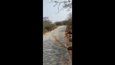 Work on road along Aravali buffer near Bandhwari landfill stopped