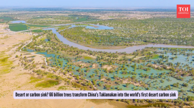 Desert or carbon sink? 66 billion trees transform China's Taklamakan into the world's first desert carbon sink