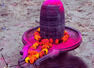 When is Maha Shivratri, on 15th or 16th of February? Morning and evening pooja mahurat timings and exact date details