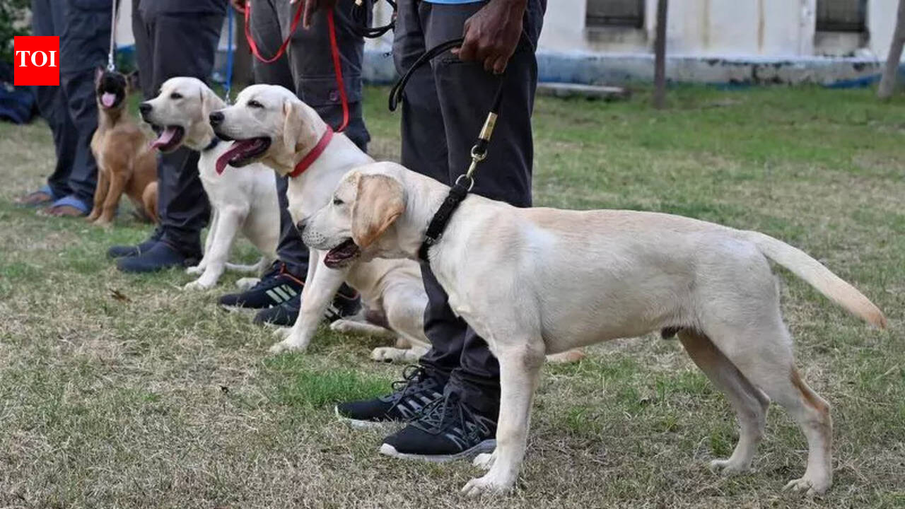 Under Atmanirbhar Bharat, Assam Rifles to induct Indian breeds in its dog squad
