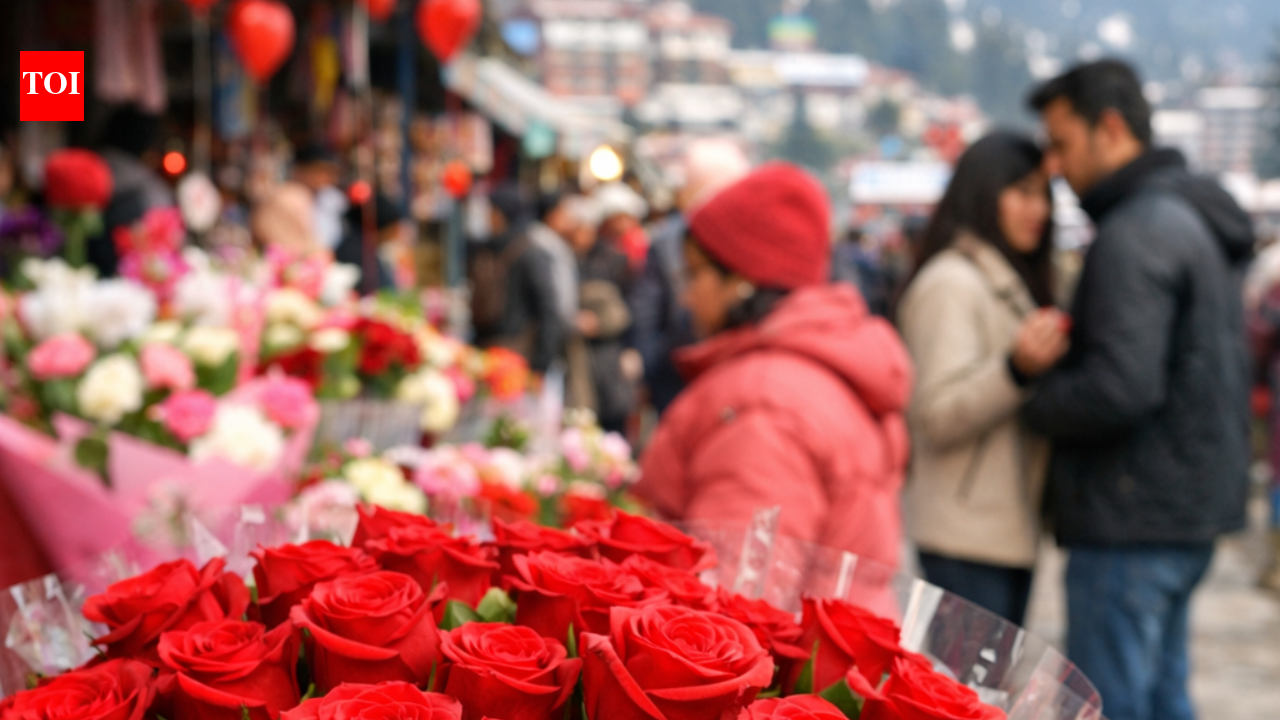 Rose rush ahead of Valentine Day 2026: Red romance runs high as prices reach Rs 100 apiece in Shimla