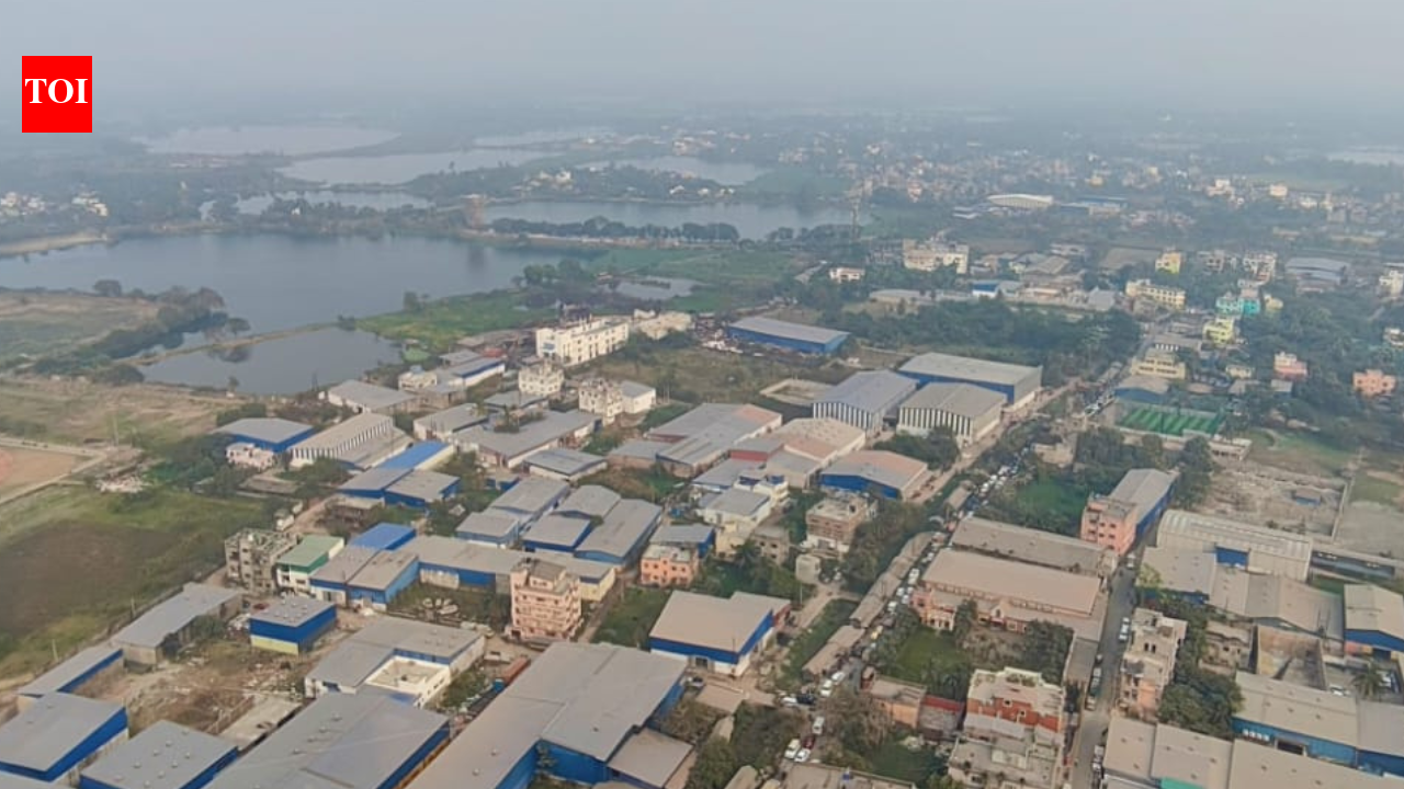 Green activist files NGT plea over illegal wetland conversion in East Kolkata Wetlands