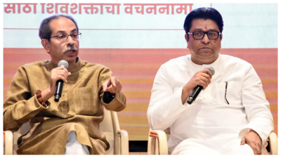 'Corporators got Rs 1 crore each': MNS leader helps BJP win Chandrapur mayoralty after Sena (UBT) ditches Congress