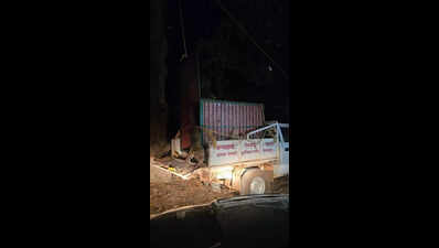 Caught in a trap, freed by dawn: Forest team rescues leopard, arrests poacher