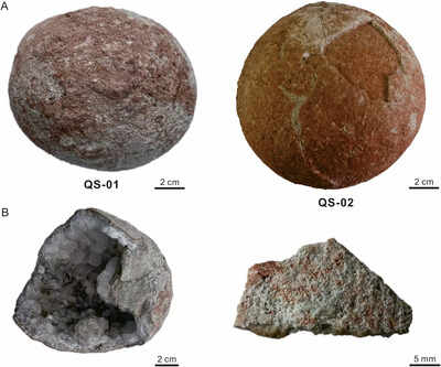 Cannonball-sized dinosaur crystallised eggs found in China