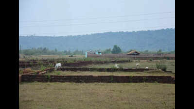 State to introduce QR codes on land ownership docus for instant verification