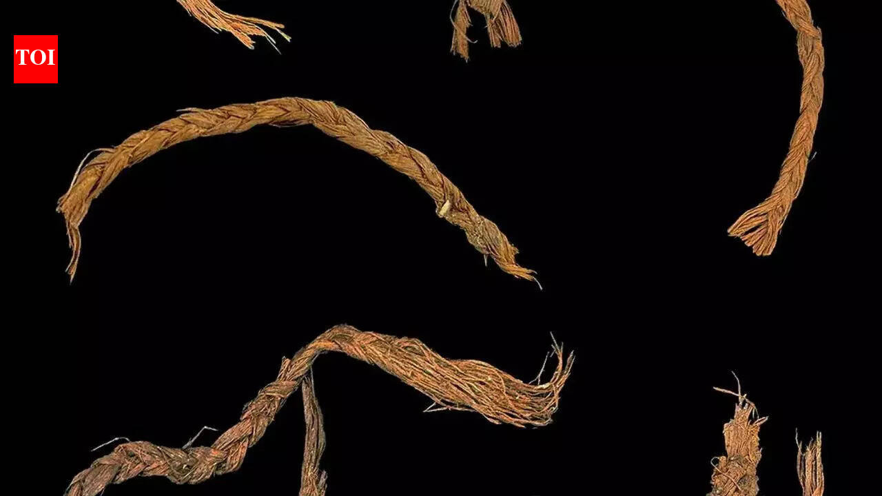How did humans survive 12,000 years ago? These ancient needles found in Oregon hold the answer