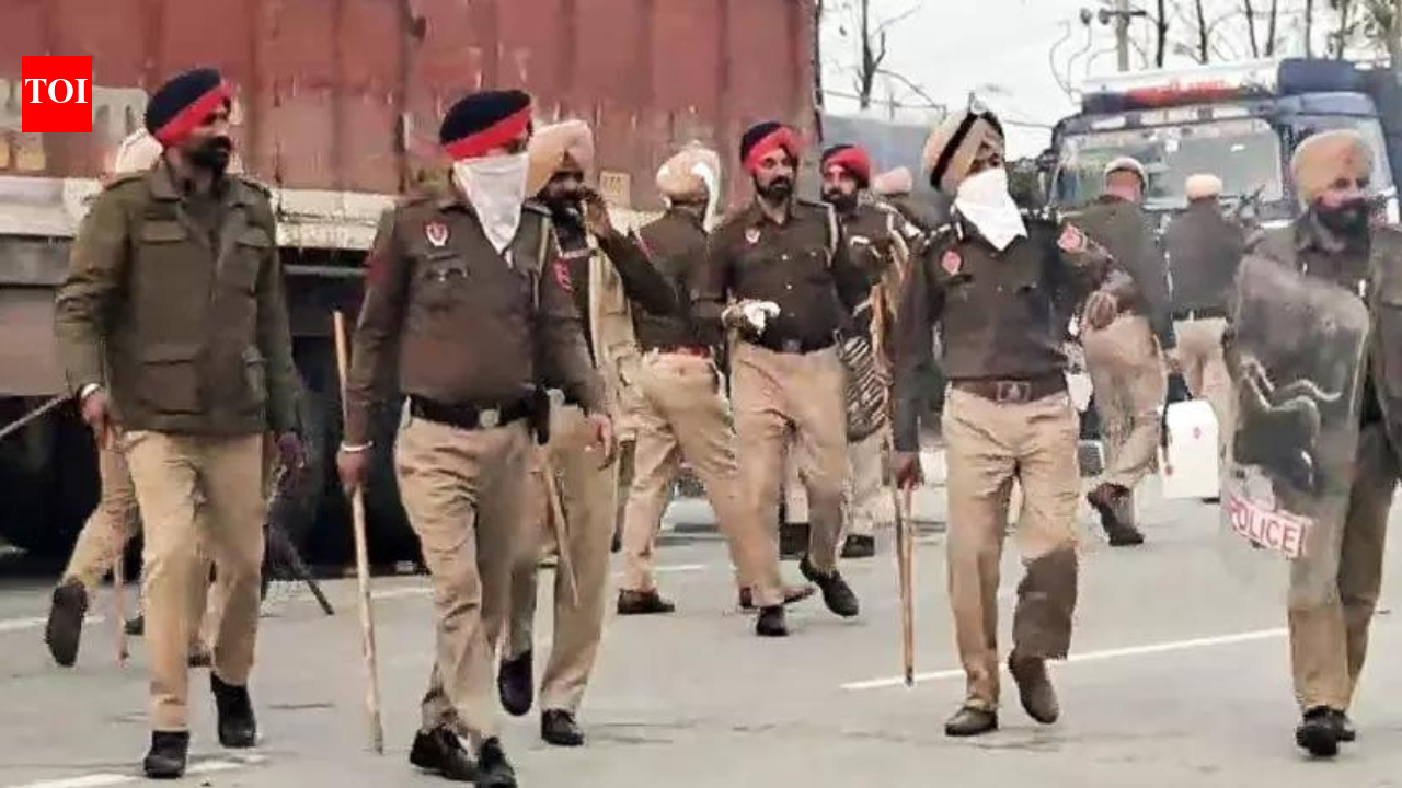 Over 3,200 people arrested during Operation Prahar-2: Punjab Police