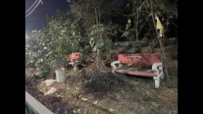 MC faces flak over crumbling green belt along Buddha Dariya