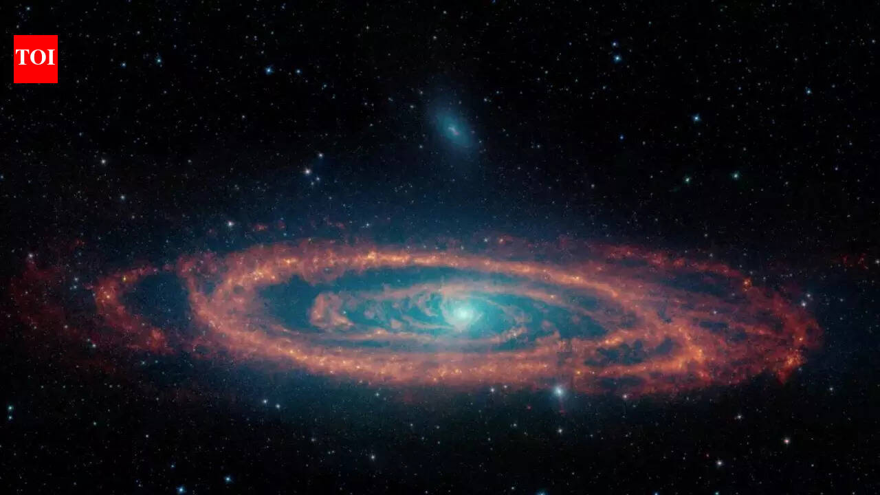 Water and oxygen aren’t enough: Scientists reveal two ‘must-have’ ingredients for life on other planets