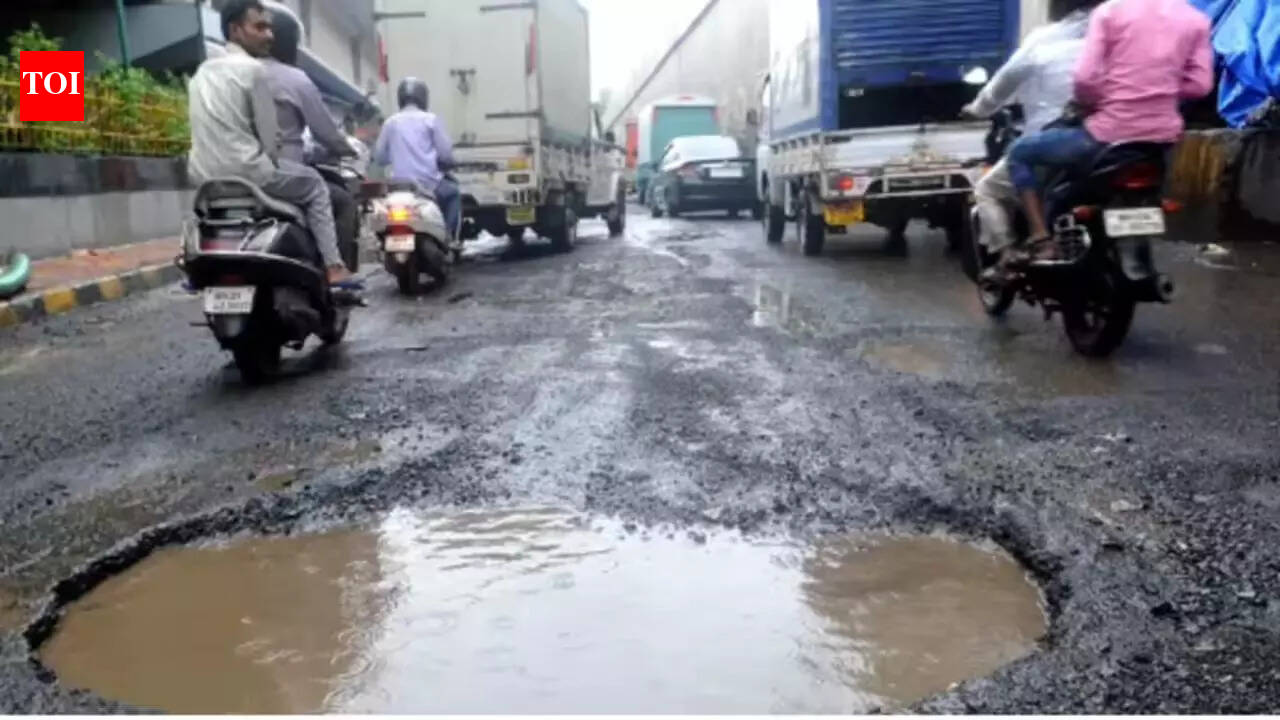 Potholes killed 9,438 from 2020 to 2024: Govt