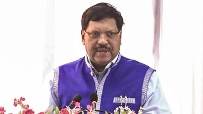 Ex-CJI Gavai says ONOE bill does not violate constitution's basic structure