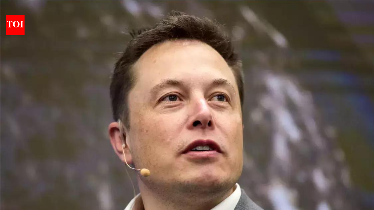 Elon Musk calls AI models of the company that have wiped billions from stock market 'Evil'; says: Your models hate ...