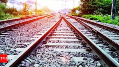 Haridwar ‘Sadhu’ gets 2-year jail for placing stones on Hyderabad rail tracks