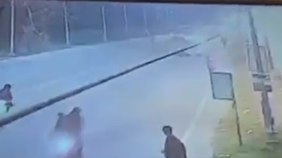 Wipro techie critical after bikes hits stray bull on Noida road