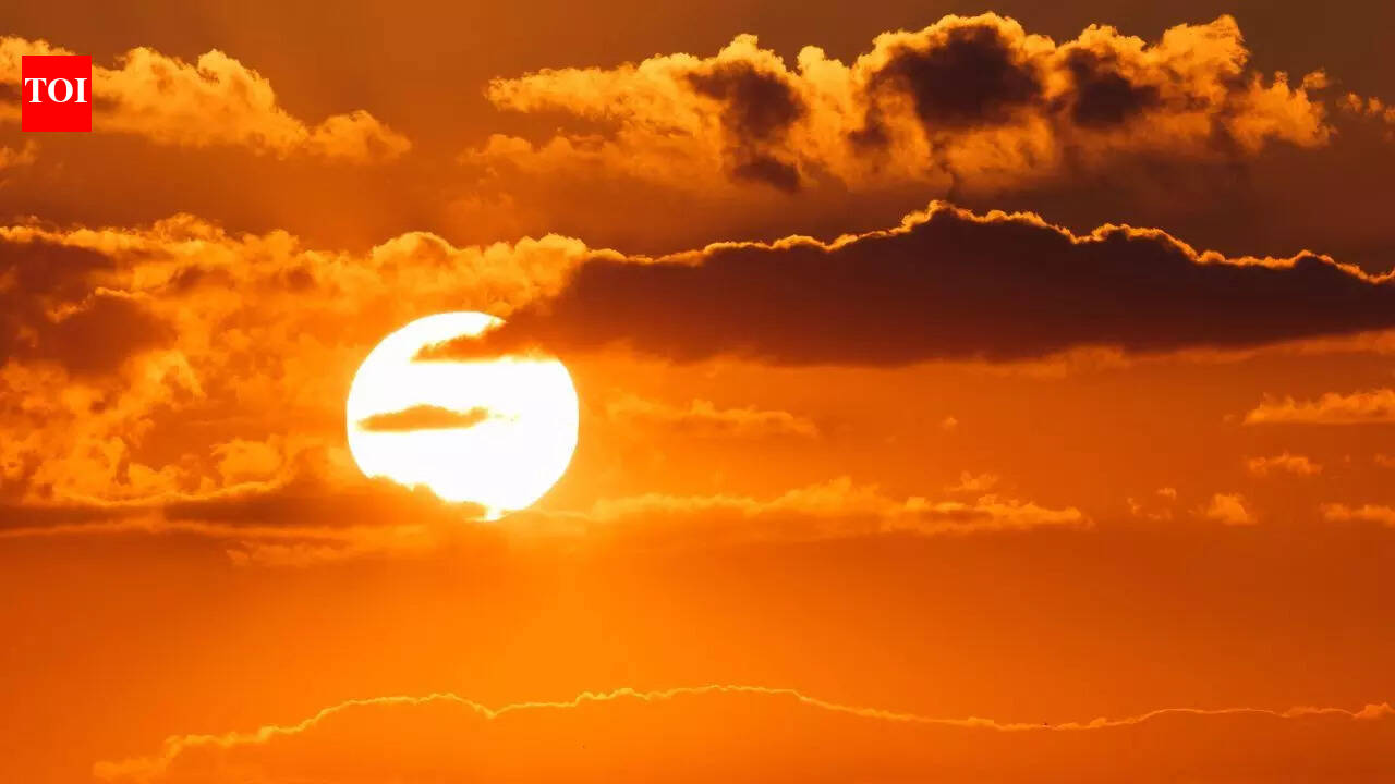 Sun Transit in Aquarius 2026: Its impact on your zodiac sign