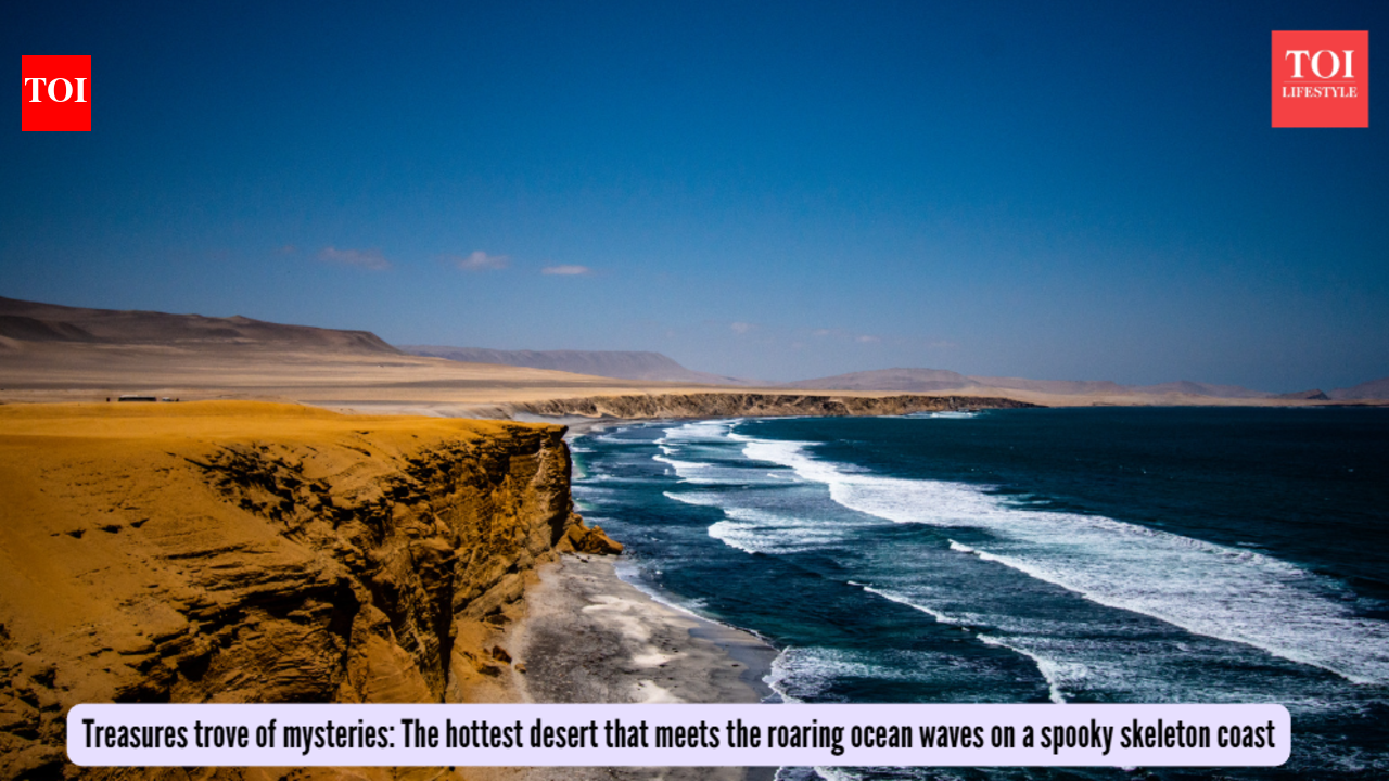 This burning-hot desert meets the ocean - and its coast is called Skeleton Coast: Where is it?