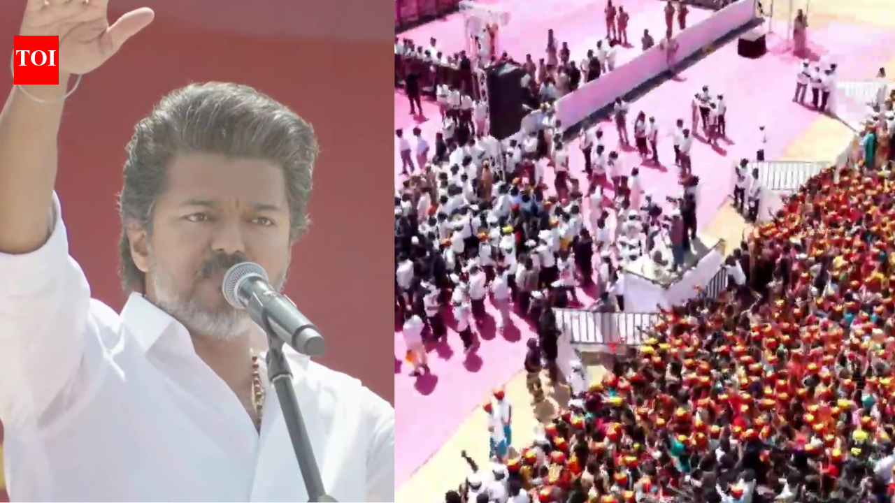 TVK will form the next government in Tamil Nadu, says Vijay