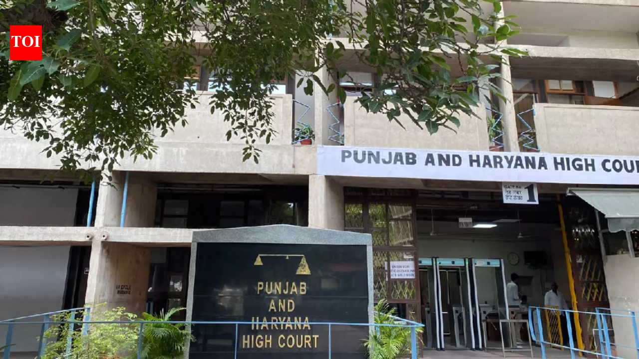 Punjab& Haryana HC grants bail to YouTube influencer Bobby Kataria in human trafficking case