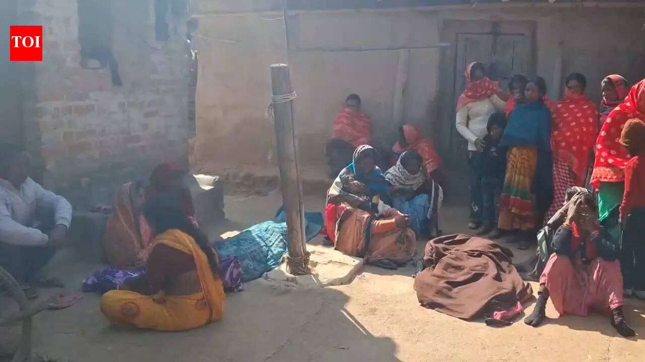 6, including 2 toddlers, trampled to death by wild elephants in Jharkhand's Gondwar village