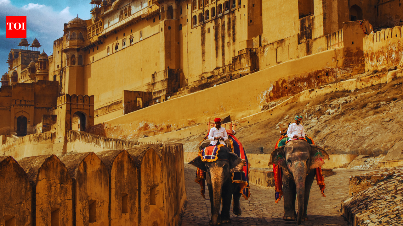 “सड़कों पर हाथी और ड्रोमेडरीज़… नशीले पदार्थ के समान लग रहे थे”: वह अनुभव जिसने इस विदेशी यात्री को असहज कर दिया |