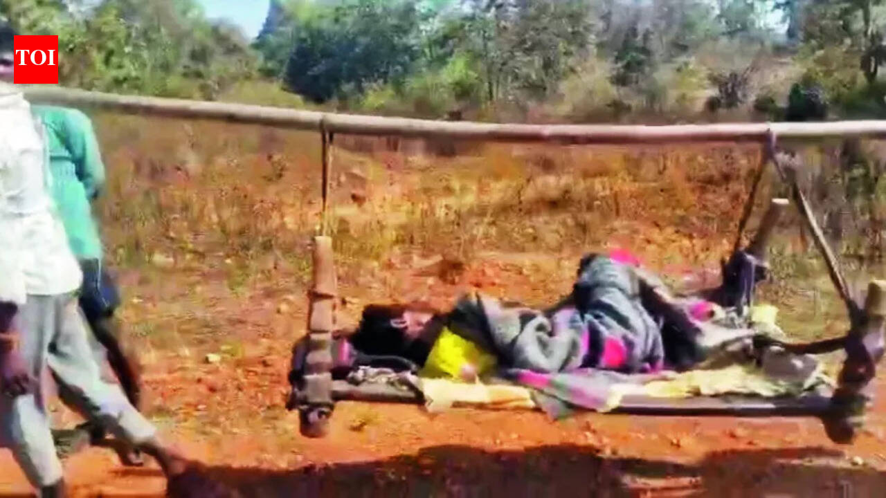 No road, no ambulance; critically ill man carried 10 km on cot in Bastar village