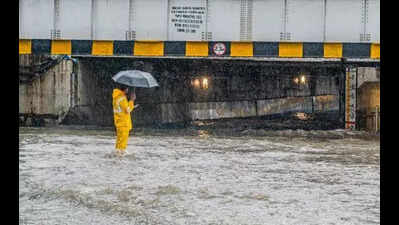 BMC mulls building flyover over flood-prone Andheri subway in Mumbai, appoints consultant to carry out feasibility study