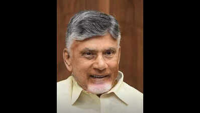 Naidu says NDA govt will protect temple sanctity, bring population management policy