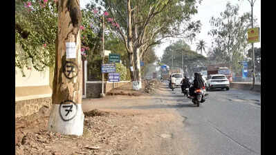 NMC plans to cut 51 trees for road widening ahead of Kumbh Mela, invites suggestions or objections till Feb 18