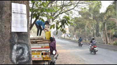 NMC plans to cut 51 trees for road widening ahead of Kumbh Mela, invites suggestions or objections till Feb 18