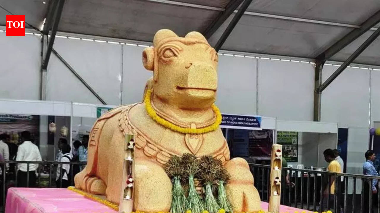 Sustainable agriculture theme marks Hampi Utsav celebrations