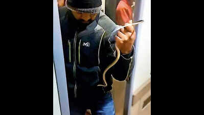 Man arrested for releasing snake inside Mumbai-Solapur Vande Bharat toilet