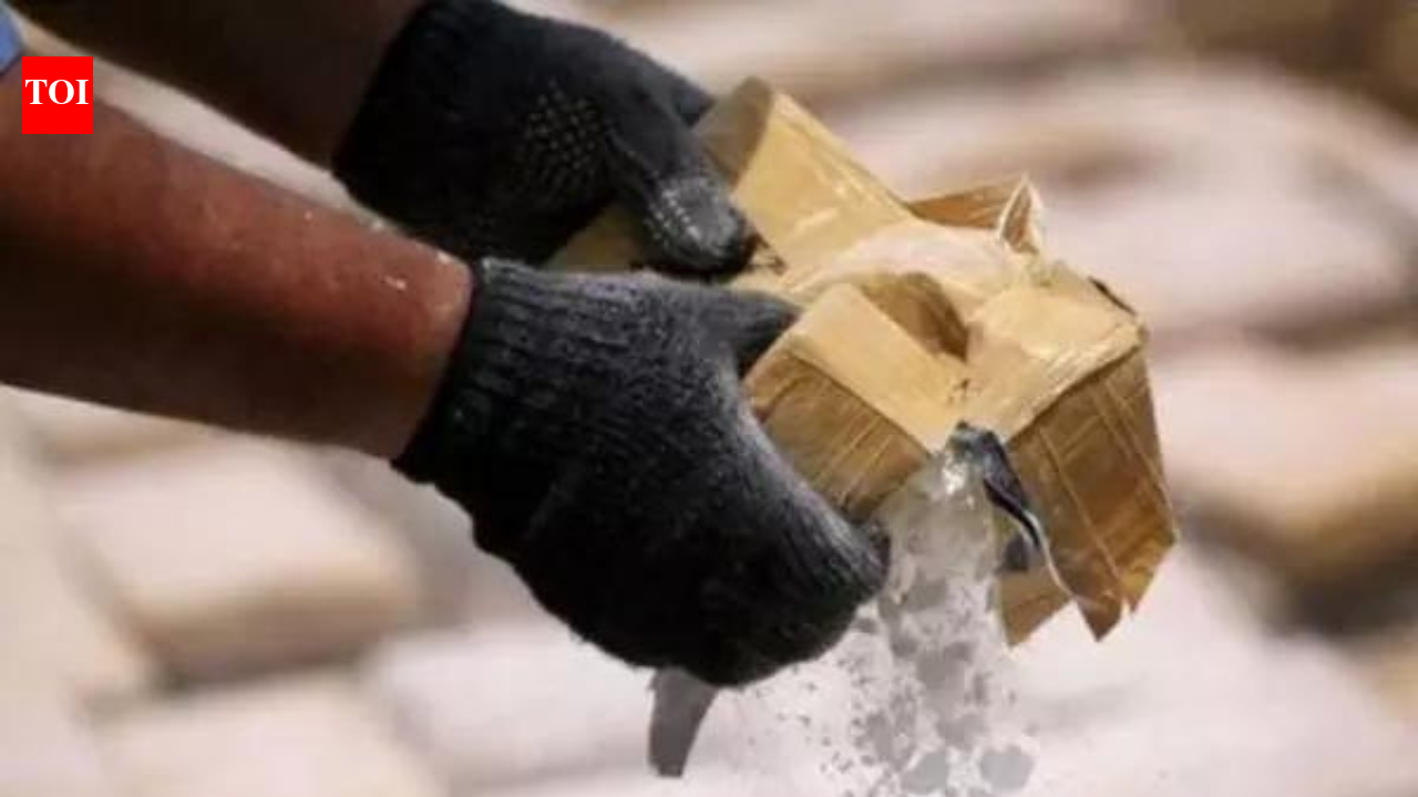 Drone-dropped heroin seized in J&K’s Kathua, 2 with Pakistan links held