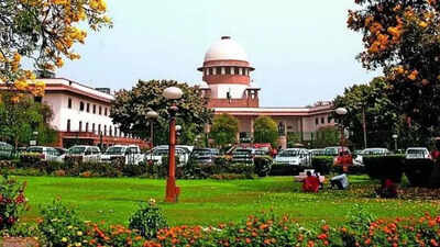 Spectrum can't be part of insolvency process: SC