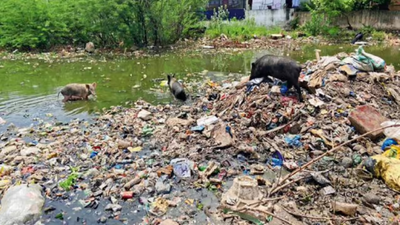 Woman’s body found in trunk in Bhopal water tank; live-in partner, mother and siblings held